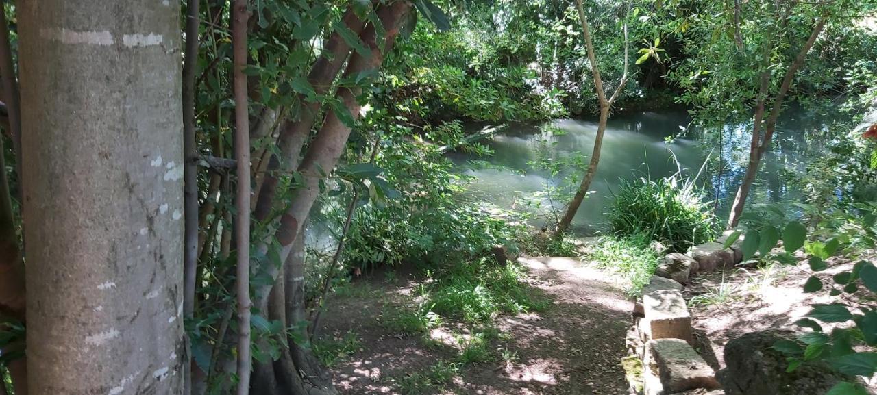Au Bord De L'Alzon Daire Uzès Dış mekan fotoğraf