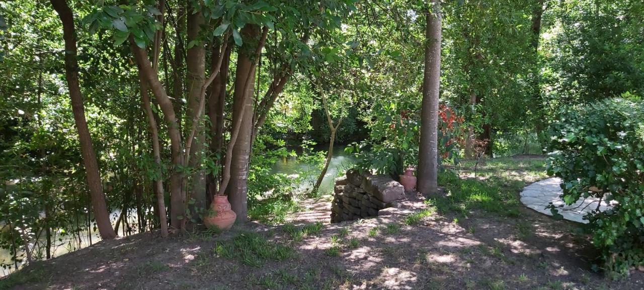 Au Bord De L'Alzon Daire Uzès Dış mekan fotoğraf